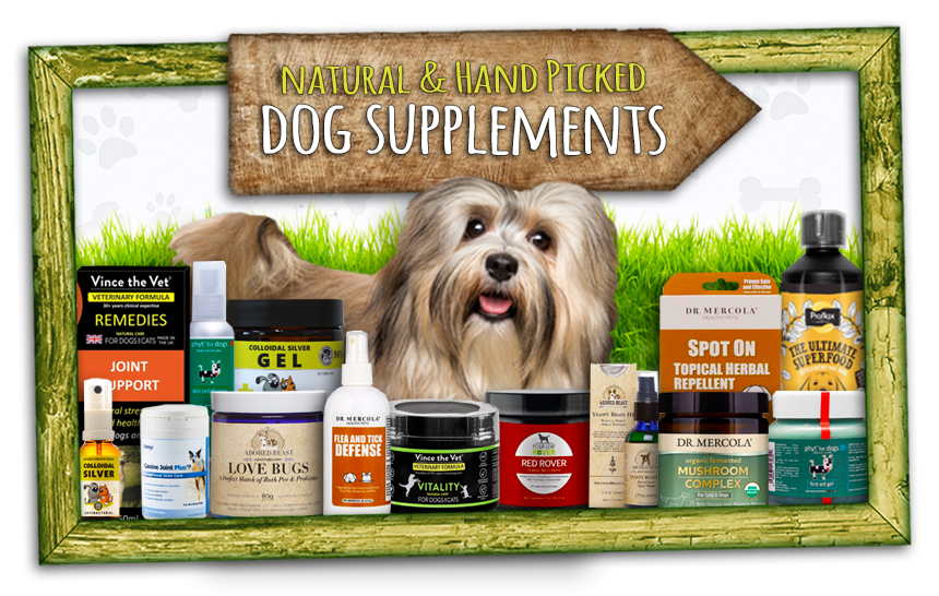 Healthy Pets With Naturally Healthy Products Healthful Pets Online Store