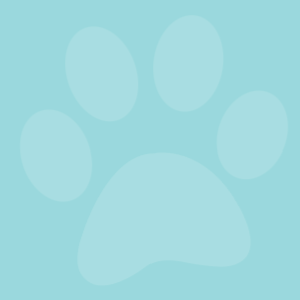 Green & Wild's Rope Ball Eco Dog Toy