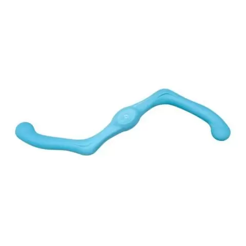 West Paw Design Zogo Flex Bumi Dog Toy delivered by Healthful Pets