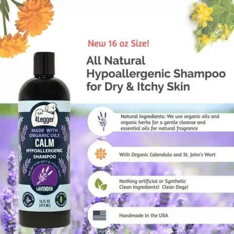 Lavender for dogs skin top