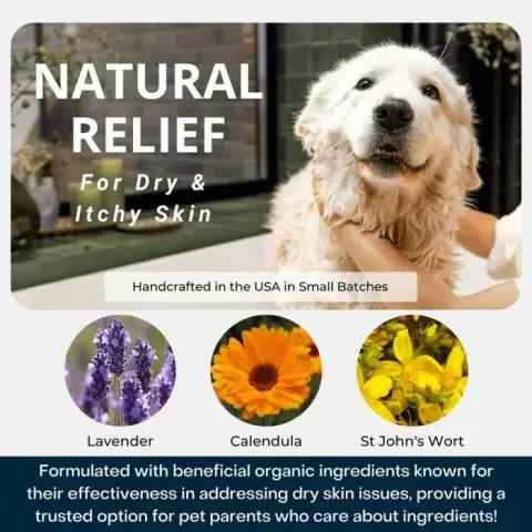 Calendula for dog hot spots shop