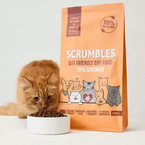Chicken kitty clearance