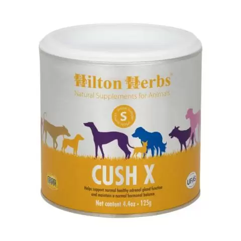 Dog hormone supplement top