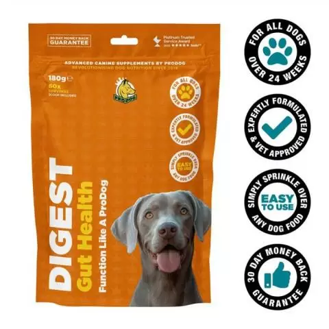 L glutamine for dogs discount