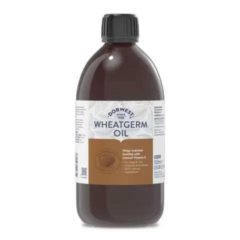 Can dogs have wheat germ cheap