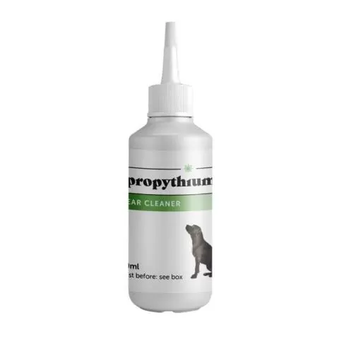 Epiklean ear cleaner online