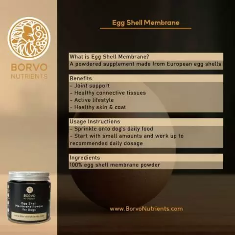 Borvo Nutrients Egg Shell Membrane Powder for Dogs 40g