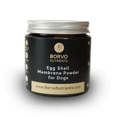 Borvo Nutrients Egg Shell Membrane Powder for Dogs 40g