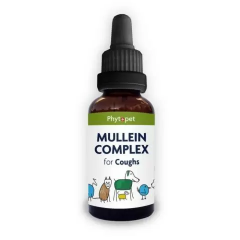 Mullein oil for dogs shop