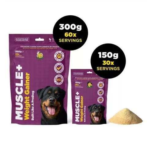 Best dog food to gain weight and muscle uk top