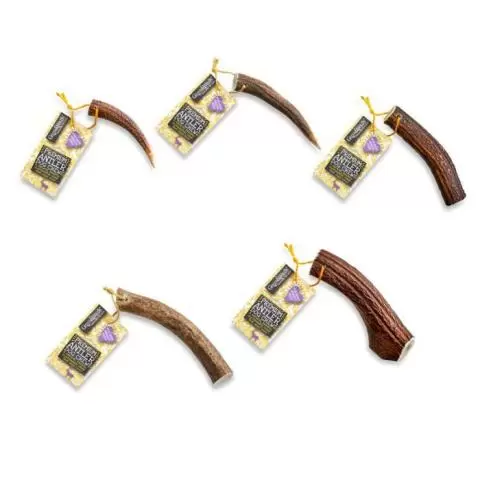 Green Wild s Premium Antlers for Dogs Delivery by Healthful Pets