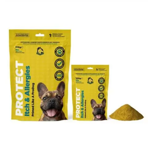 Best dog food for skin allergies uk online