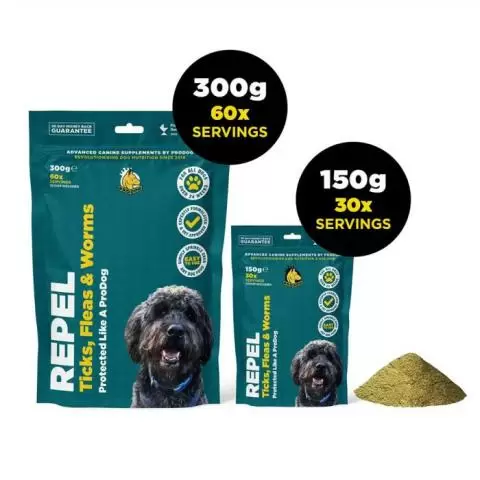 Flea worm tick control for dogs clearance