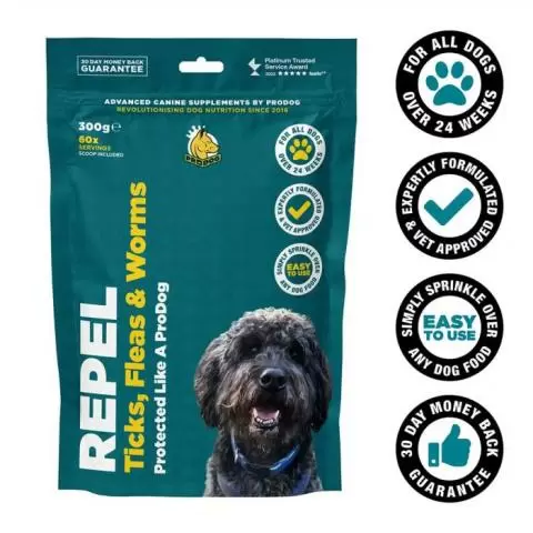 Best deterrent for dogs cheap