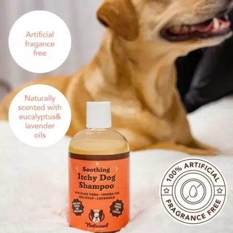 Eco friendly dog shampoo shop
