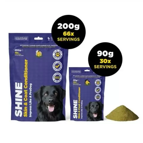 Coat shine for dogs top