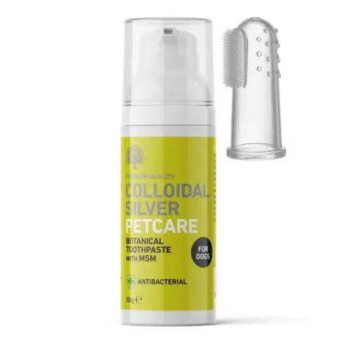 Colloidal silver for dogs teeth outlet