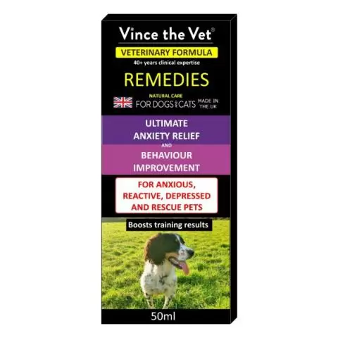Best medicine for dogs with anxiety online