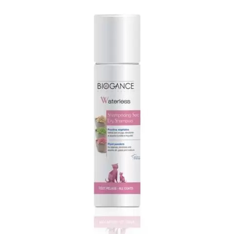 Cat dry shampoo clearance