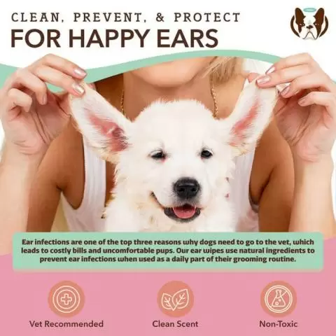 Best dog ear wipes shop