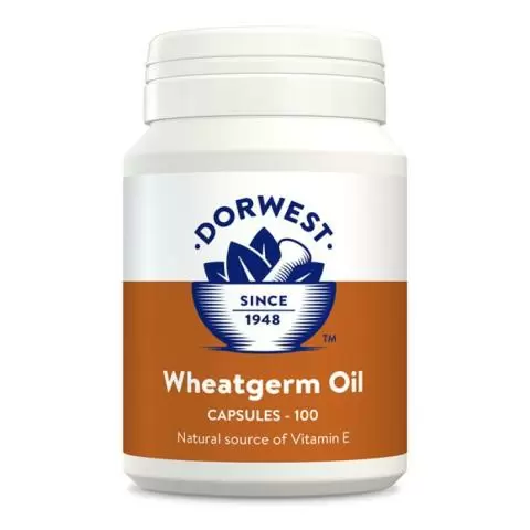 Dorwest sales slippery elm
