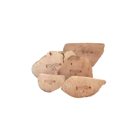 Anco root shop dog chew