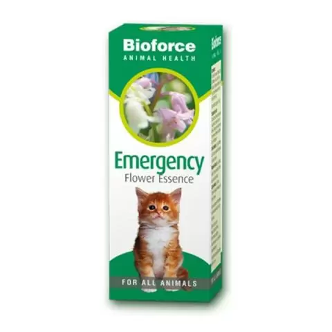 Flower essences for cats discount