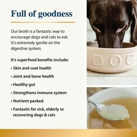 Is chicken broth ok for sales dogs