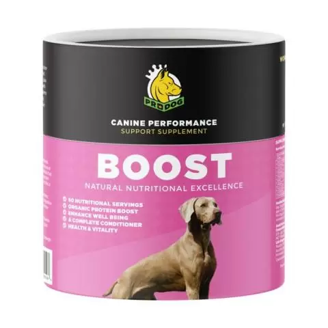 Vitamin a cheap and dogs