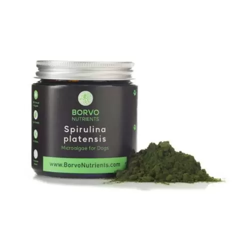 Spirulina clearance for dogs