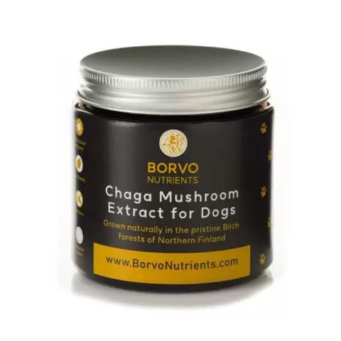 Mushroom powder for dogs online