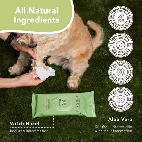 All natural shop dog wipes