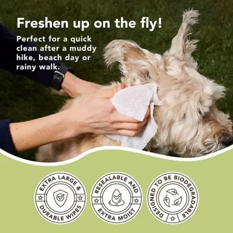 Dog paw wipes for yeast top
