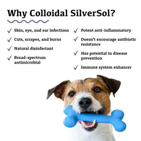 Colloidal silver for cat ear infection deals
