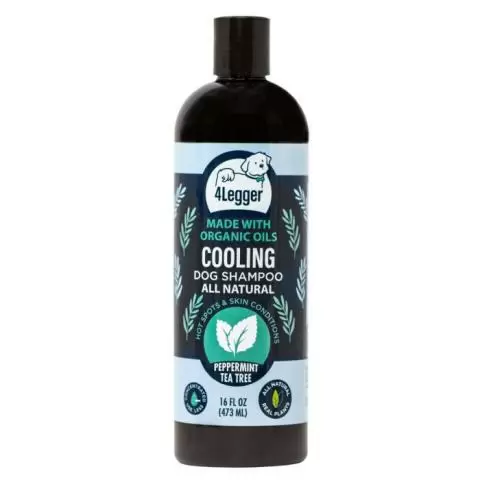 Non toxic dog hotsell shampoo