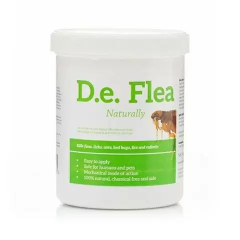 Flea doctor reviews hot sale