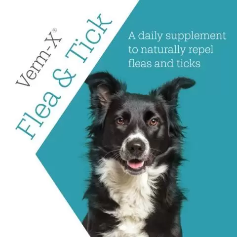 Homeopathic remedies for hotsell fleas on dogs
