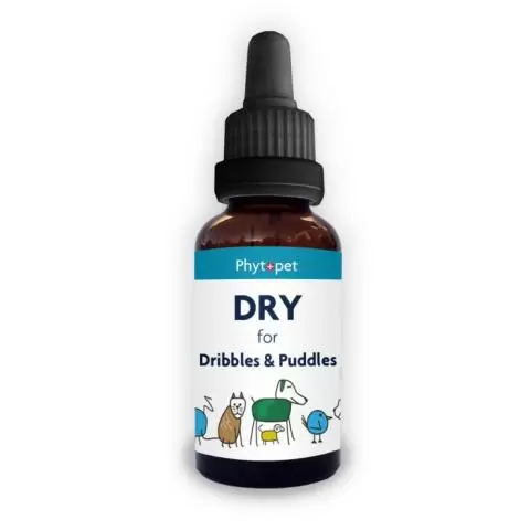 Colloidal silver shop for cats uti