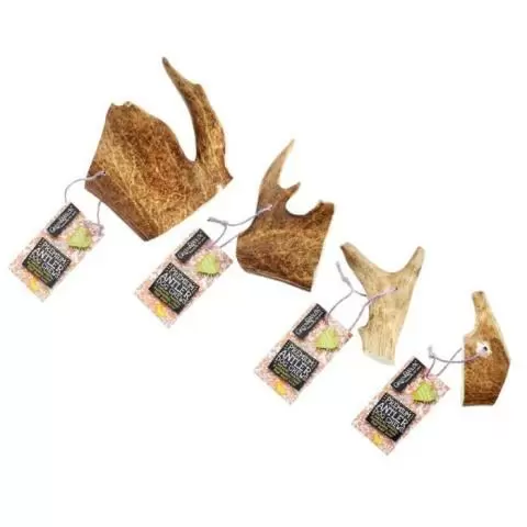 Green and outlet wilds antler