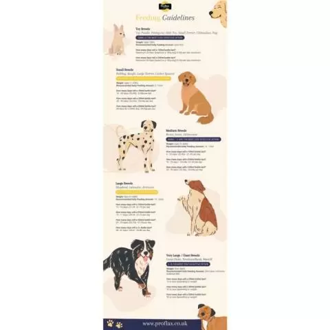 Proflax Omega Calm for Dogs