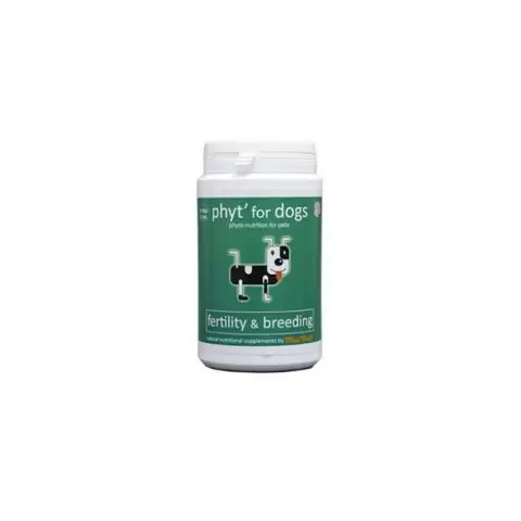 Best dog deals food for reproduction