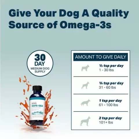 Giving dogs 2024 omega 3