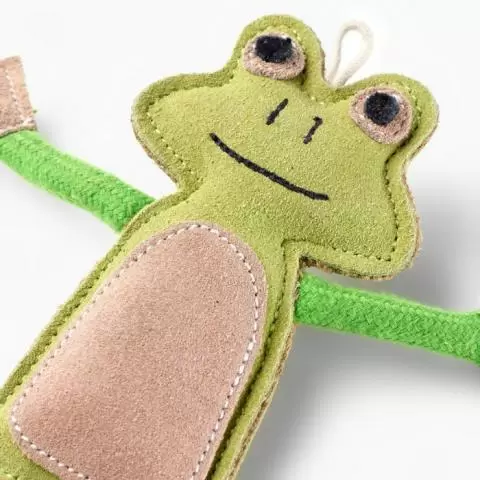 Darwin the shop frog dog toy