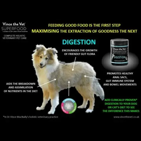 Holistic vet recommended dog food cheap