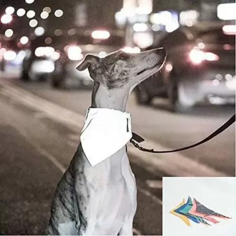 Dog cooling bandana uk cheap