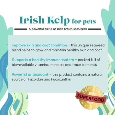 Kelp supplement for dogs clearance