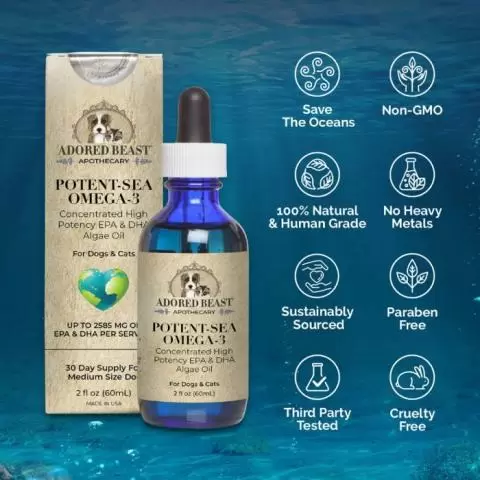 Algal oil for dogs sales