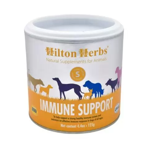 Immune vitamins deals for dogs