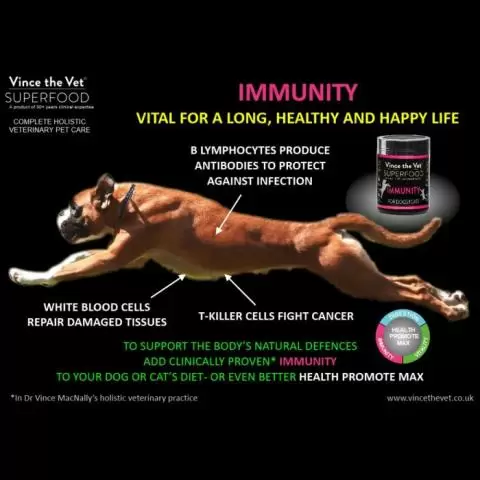 Vince the Vet Superfood Immunity