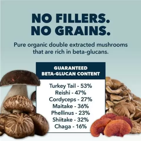 Four Leaf Rover Seven shrooms for Dogs